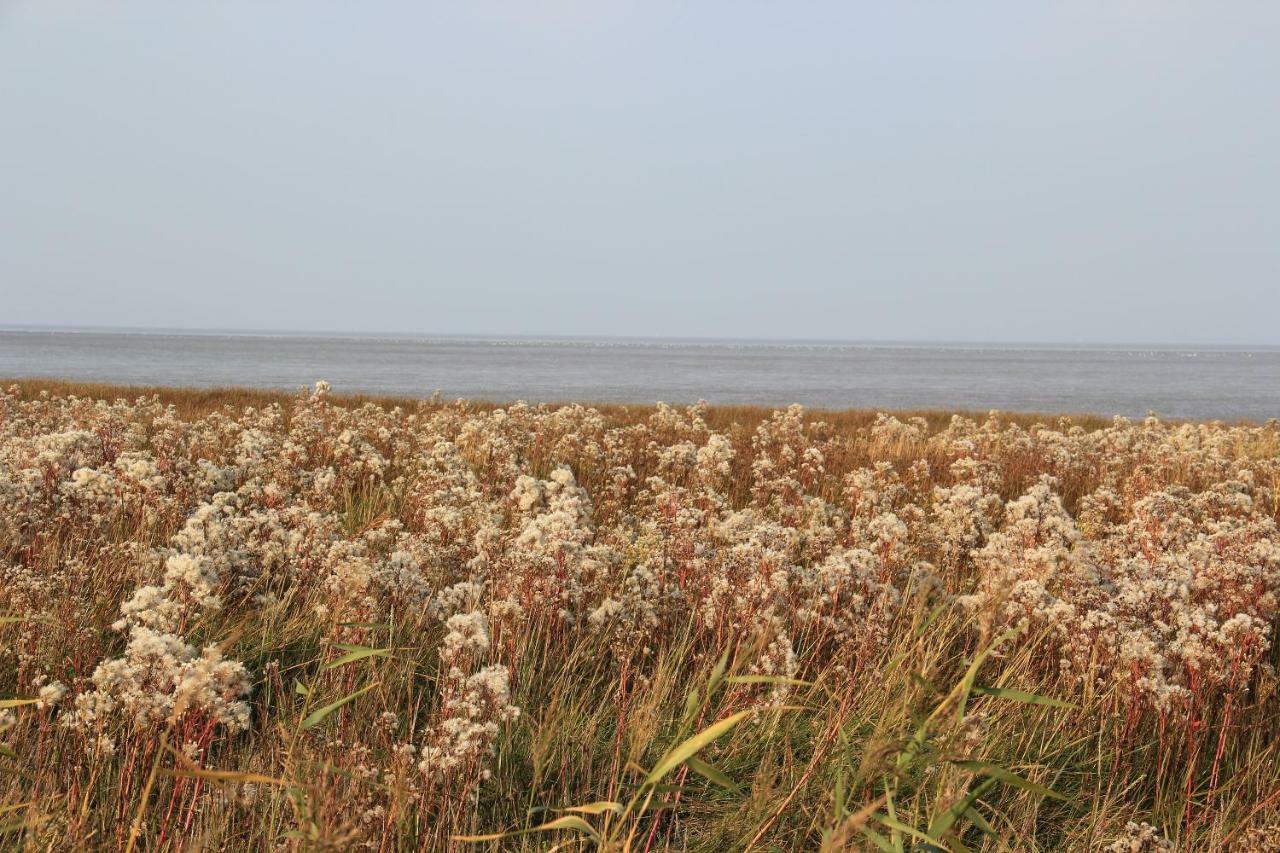 Annemaries Nordseehaus Butjadingen Eksteriør billede